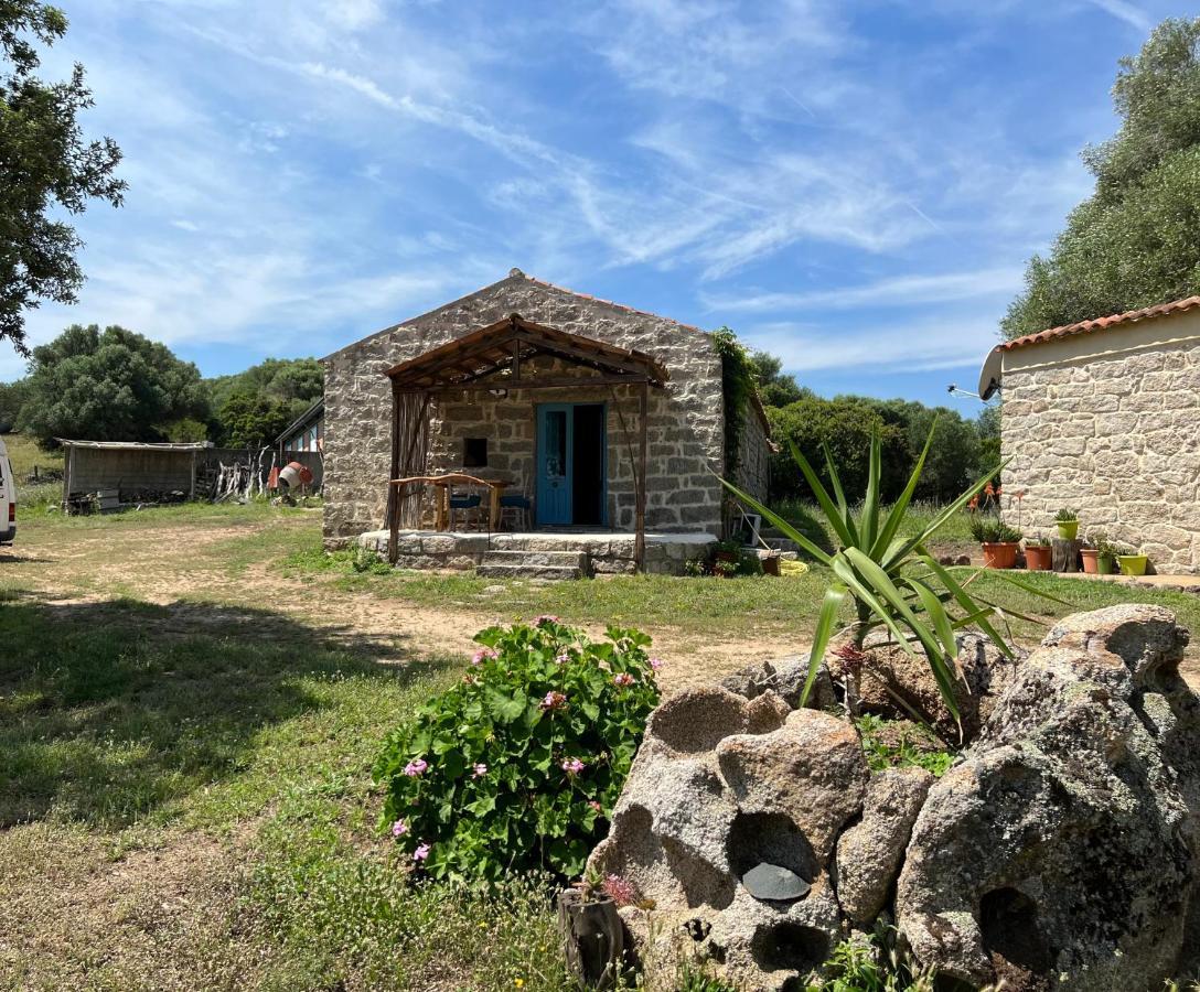 Apartment Casacci Arzachena